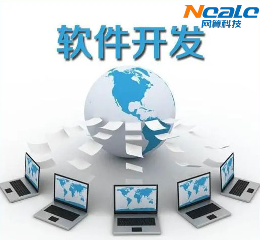 石家庄软件开发团队的人员组成